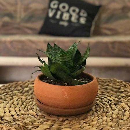 Apartamento Bizantino 코수멜 외부 사진